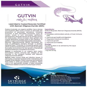 GUTVIN Aditivo Alimentario Líquido para Animales, Matriz Lipídica Recubierta de Butirato, Oligosacárido de Mannano MOS, Suplemento para Aves de Corral y Ganado - Product Image 3
