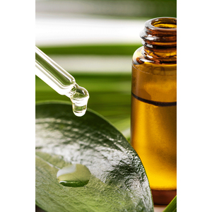 Huile Essentielle de Théier 100% Naturelle et Biologique en Gros, Prix de Gros pour Marques Privées - Product Image 3