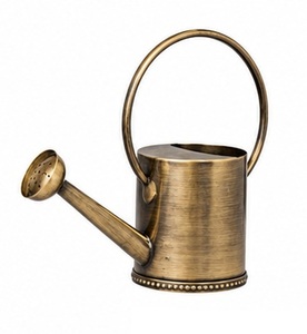 Caña de jardín de metal de alta resistencia para plantas trepadoras como judías, guisantes y enredaderas florales - Product Image 4
