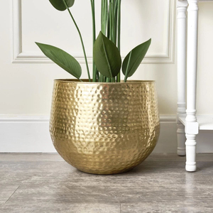 Nouveaux pots de fleurs en métal doré, forme ronde, accessoires de jardin pour la maison, balcon, patio, pots et jardinières - Product Image 4