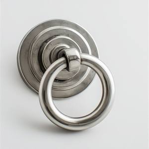 Battant de porte en laiton massif de qualité supérieure, tête de lion, conçu pour les portes d'entrée majestueuses, au charme royal traditionnel - Product Image 5