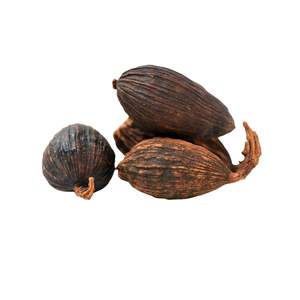Oferta Especial Precio Mayorista Cardamomo Negro de la Mejor Calidad Hecho en Vietnam - Product Image 5