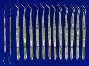 Juego de Instrumentos Dentales de Acero Inoxidable Premium de 10 Piezas: Pinzas College, Espejo Bucal, Explorador, Pinzas para Aplicación de Algodón - Product Image 4