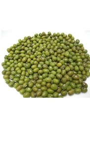 Haricots verts Vigna, haricots mungo, haricots verts Moong - Product Image 6