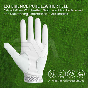Custom Made Heavy Duty Golf Gloves Factory Direct Sale Sports Golf Gloves Low Moq Golf Gloves - Product Image 3