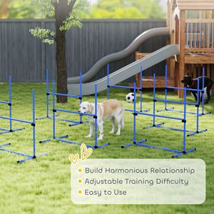 Attrezzatura per l'addestramento all'agility per cani - Product Image 6
