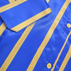 Camisa de satén a rayas Sigma Gamma Rho personalizada para mujer, blusa de manga larga con letras griegas, elegante, informal, de moda para hermandades - Product Image 6