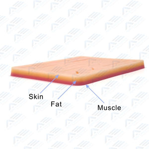 Kit de formation de suture durable avec outils de simulation d'instruments Kit de suture de pratique Kit de formation de suture - Product Image 5