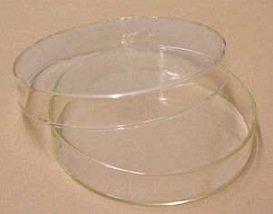 Placa de Petri de Vidrio Borosilicato - Venta al por Mayor, Construcción de Acero Inoxidable de Alta Calidad, 2 Años de Garantía, Uso Clínico y Hospitalario, Personalizable - Product Image 5