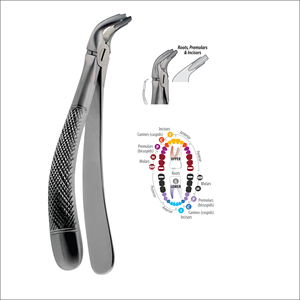 Kit d'instruments d'extraction dentaire avancée non traumatique de précision, certifié CE Classe I - Product Image 3