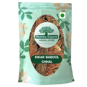 Babool herbal kulit kering, ramuan mentah pohon Arabika akasia, Nilotica krikar Chaal digunakan untuk cedera luka penyakit kulit