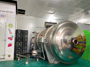 Machine de lyophilisation sous vide motorisée automatique en acier inoxydable SUS316L contrôlée par PLC WHFD-100 pour la transformation alimentaire - Product Image 3