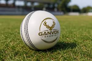 GANVOX <b>Cricket</b> Ball White Gold Logo Match Grade Durable Polyurethane Sports <b>Equipment</b> - Product Image 2