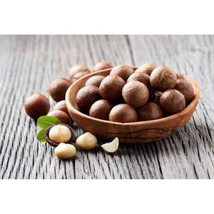 Nueces de macadamia tostadas con cáscara, calidad premium, venta al por mayor directa de fábrica, de Vietnam - Product Image 2