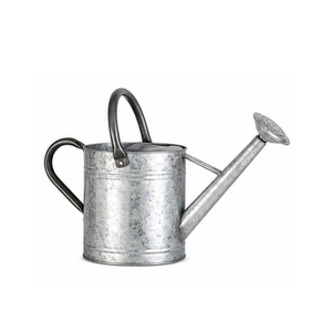 Arrosoir en métal galvanisé artisanal, outil de jardin durable - Product Image 2