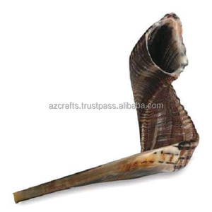 Cuerno Natural Pulido Ram Shofar Estilo Animal Artesanía Religiosa Judía a Precio - Product Image 5