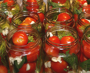 Latas de tomate recién cosechadas, en dados y empaquetadas para exportación global - Product Image 2