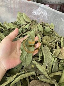 ใบฝรั่งตากแห้งแบบ100% คุณภาพสูงส่งตรงจากเวียดนาม - Product Image 5