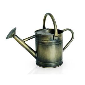 Arrosoir de jardin en métal peint léger avec une poignée robuste pour un arrosage quotidien confortable des plantes - Product Image 5