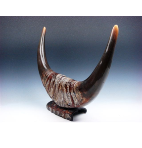Best Quality Buffalo <b>Decorative</b> Horn Pairs Modern Design hot Selling <b>Decor</b> High Quality Buffalo Pair Horn - Product Image 1