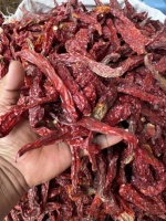 Piment rouge séché de haute qualité Dev Namo, forme allongée, épices naturelles, 500g, longue durée de conservation, Inde