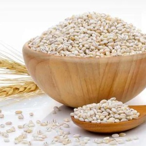 Harina de Cebada Orgánica Premium para Importadores a Granel con Calidad de Molienda Natural y Bolsas Empacadas para Exportación - Product Image 5