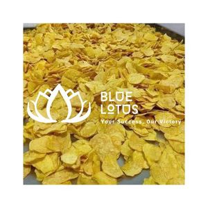 Chips de pommes de terre salées séchées et frites sous vide, en vrac, écologiques, en emballage économique, confiserie, vente chaude - Product Image 1
