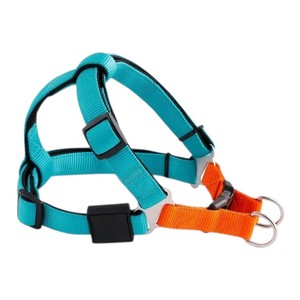 Adjustable Nylon Dog Harness Teal Orange Buckle Closure Simple Style for Dogs - Product Image 2