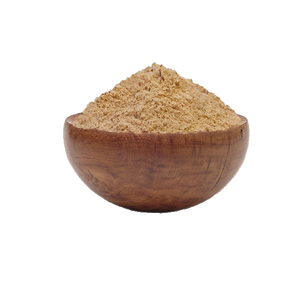 Poudre d'ail biologique déshydratée en vrac, poudre d'ail séchée à l'air - Product Image 1