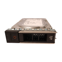 Dell Drive steker panas 2TB 7.2K RPM NLSAS 12Gbps 512n 3,5 inci