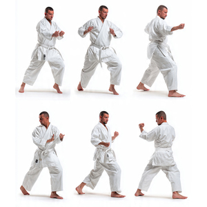 Uniforme de Karate para Hombre, Ropa de Entrenamiento de Alta Calidad, Traje de Judo para Combate, Uniformes de Karate y Judo para Entrenamiento de Boxeo - Product Image 4