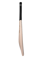 Bates de Críquet CA, Grado A+, Madera de Sauce Inglesa, Duraderos, Ecológicos, Ligeros, Mango Corto, Estuche Premium, Precio de Fábrica, Servicio OEM