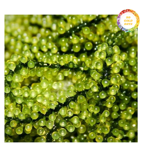 Algues de mer fraîches au goût légèrement salé, variété NORI, emballées sous vide - Product Image 5