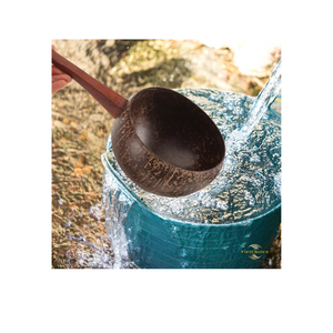 Cuchara de Agua de Coco Natural, Cuchara Ecológica de Cáscara de Coco, Utensilio de Cocina Sostenible para Servir Bebidas - Product Image 4