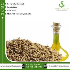 Suministro Directo de Fábrica, Aceite Esencial de Ajowain 100% Puro y Natural de la Mejor Calidad, Grado Industrial, 2 Años de Vida Útil para Uso en la Industria Alimentaria - Product Image 5