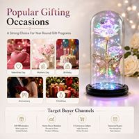 Rose éternelle sous cloche en verre LED, papillon décoratif, lumière florale LED, rose irisée, cadeau