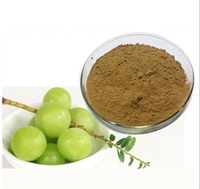 Hoogwaardige Amla poeder, voedingskwaliteit, fijnmazig, kruidenpoeder, chemisch vrij, bulk levering uit India, OEM fabrikant