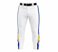 Ensemble uniforme de baseball haut de gamme à manches courtes et boutons, personnalisable pour équipe, respirant, anti-humidité, vêtements de sport athlétiques