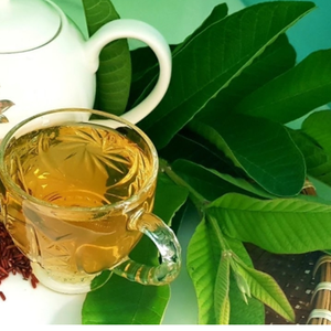 ฝรั่งออกจากการรักษาที่มีค่าในทุกสวนเวียดนาม - Product Image 4