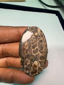 Pierre précieuse en jaspe TURTELLA 100 % naturelle de haute qualité, cabochon, pierre brute pour la guérison, jaspe en gros pour la fabrication de bijoux - Product Image 2