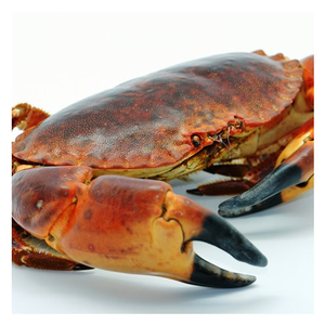 Crabe royal congelé / crabes royaux des neiges / pattes de crabe royal - Product Image 3