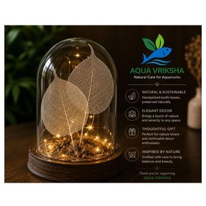 AQUA VRIKSHA Premium Natural Skeleton Bodhi Leaves for Crafts, Decoration, Resin Art & Floral Arrangements|Pack of 100 - Product Image 4
