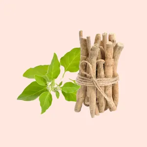 Bulk Ashwagandha Root <b>Extract</b> Pure Herbal Adaptogen (Withania Somnifera) <b>Extract</b> for Nutraceutical & Supplement Manufacturing - Product Image 3