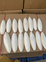 Exportateur et fournisseur d'os de seiche du Vietnam, 4-6 pouces, boîte de 10 kg, calcium naturel pour oiseaux et reptiles 14.1
