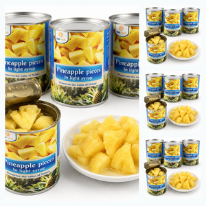 Piña en Rodajas en Almíbar Ligero de la Mejor Calidad, Deliciosa, en Venta, Suministro a Granel de Fabricante Vietnamita - Product Image 1