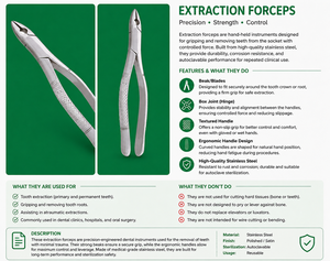 Pinzas de Extracción Dental 101, para Bicuspides Superiores e Inferiores, Dientes Deciduos, Instrumentos Universales Manuales Plateados, Clase I, Alta Calidad, CE - Product Image 4