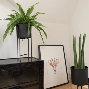Macetas Modernas para Plantas de Interior y Jardineras Decorativas para Suculentas, Cactus, Plantas Raras y Decoración Elegante para el Hogar y el Jardín - Product Image 2