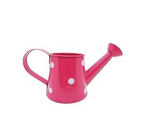 Galvanized Zinc Watering Can Durable Garden <b>Tool</b> Outdoor Use Stainless Steel Watering Can Leak Proof Decorative Watering Can - Product Image 2