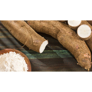 Almidón de Tapioca en Polvo, Almidón de Tapioca de Grado Alimenticio, Harina de Yuca, Almidón de Yuca - Product Image 4