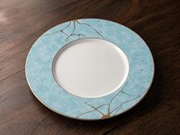 Assiette plate en porcelaine à large bord, 30 cm, grande assiette ronde pour hôtel, restaurant et repas à domicile